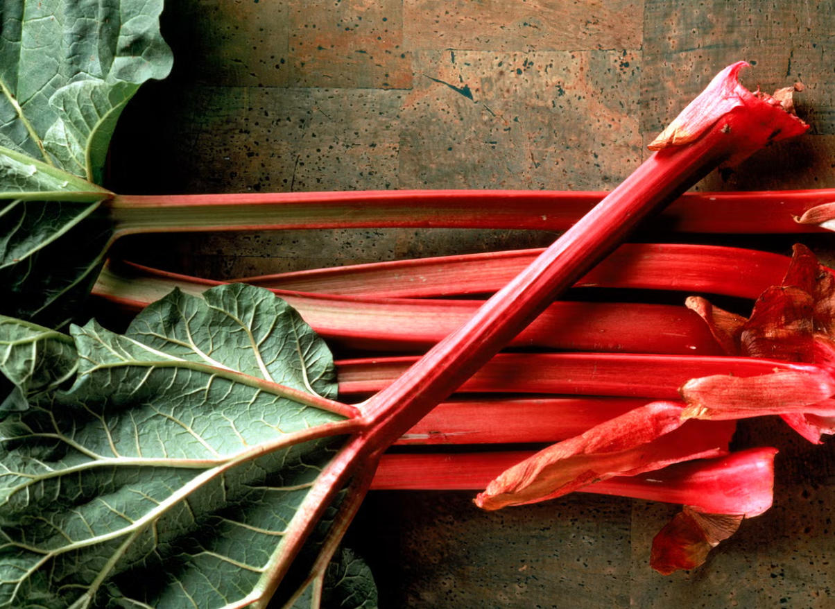Roaming Root Rhubarb | The Roaming Root Cellar