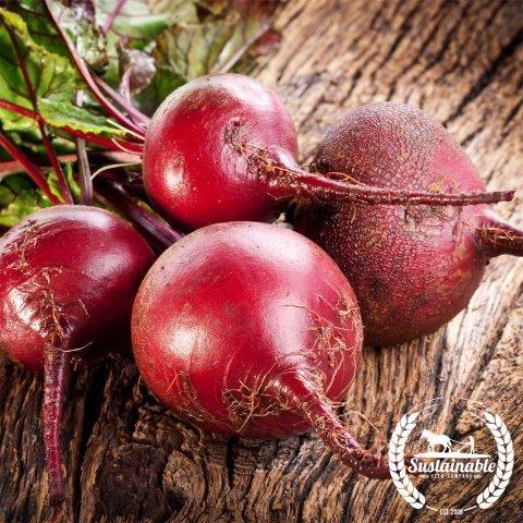 Roaming Root Seeds & Soil Farm Seeds | The Roaming Root Cellar